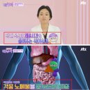 기쁨주는약국 | 차차나로티 올데이 19kg 솔직 후기