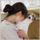 샴프네집 이미지