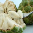 custard apple? 이미지