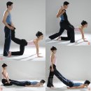 부부요가 이미지