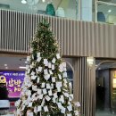 서구 문화회관 입구 이미지