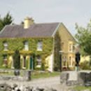 도그비앤비 이미지