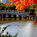 율동공원 이미지