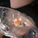 상진목장 | [🍊제주도 금능 2박 3일] 이렇게 행복을 만나다 🥐🐳 금능해수욕장 수영 후기 금능 맛집 rnr베이커리 내돈내산