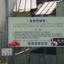 재권농장 네이버블로그