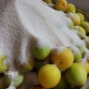 조제상회