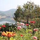 플로라펜션 이미지