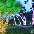 여우쉼터 이미지