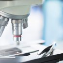 농업기술원 앞 이미지