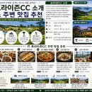 포라이즌 티스토리
