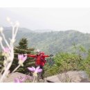 2017년 5월 13일 그랜드 산악회 지리산 바래봉 산행 이미지