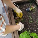 만복경로당 이미지