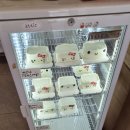 대구고성동카페 케이크맛집 반려동물동반가능한 아티크 바닐라크림치즈케이크 ABC주스 후기