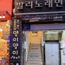 양이양이 | 남포 고양이 카페 양이양이 | 방문 후기 및 소소한 꿀팁