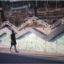 두미식당 이미지