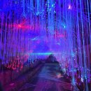 [유아단체/방문형]상상하는 아시아 | 8개월 아기와 가볼만한 [대전 아쿠아리움] 방문 후기(가격, 할인, 체험, 엑스포 아쿠아리움과 비교 등)