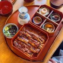 짜고통식당 | 내돈내산 부산 해운대 미슐랭 맛집 평일 저녁 솔직후기 '해목 해운대점' 히츠마부시 카이센동