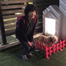 문장중앙식품 이미지