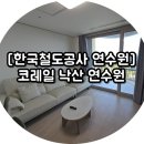 코레일낙산연수원 야영장 | [한국철도공사 연수원] 코레일 낙산연수원 이용후기(디럭스 바다뷰)