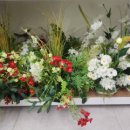 무네미로 이미지