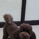 댕동댕 유치원 이미지