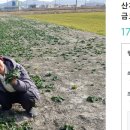 비금농장 이미지