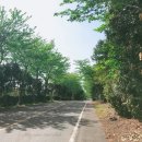 삼달교차로 2 이미지