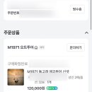 제주요트투어 (주) | [제주대정] M1971 요트투어 이색 액티비티 리얼 후기 + 돌고래 노쇼🐬😭 | 돌고래 에코투어 선셋🌅