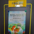 소극장 연극바보들 이미지