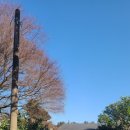 중선농장 이미지