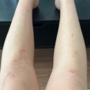 물푸레시골집 별채 이미지