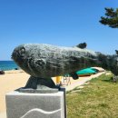 속초해변(남문) 이미지