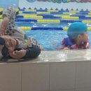 베스트어린이전용 수영장 이미지