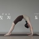 브릿지