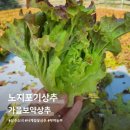 석성면사무소 이미지