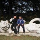 전남체육관태권도 이미지