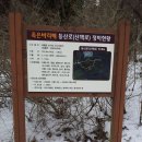 송태심 Daum카페