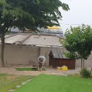 와일드 동물병원 이미지