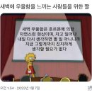 새벽에 우울함을 느끼는 사람들을 위한 짤 이미지