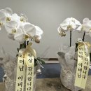 송연플라워