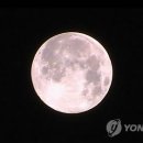 럭키유통 이미지