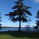 몽쁘띠슈 이미지