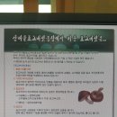 기태농장 이미지