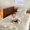 서화우도 이미지