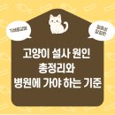 두류동물병원 네이버블로그