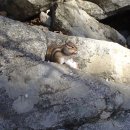 선녀계곡 이미지