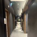 (주)에스팀메디칼 | 삼경횟집 신불당점 | 천안 해산물 코스요리 맛집 삼경횟집 내돈내산 후기