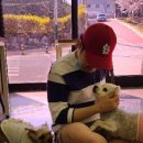 유자네 댕댕이 이미지