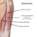 서초중앙로238 가든리체프라자 앞 | 고관절 사타구니 찝힘 불편한 이유와 초보자도 할 수 있는 고관절 ‘기름칠 루틴’[반포 필라테스]