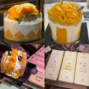 미스터컵 대전복수점 | 대전 성심당 임산부 프리패스 망고시루 멜론1통시루 망고와르르 망고와락 망고롤 메론롤 성공 후기